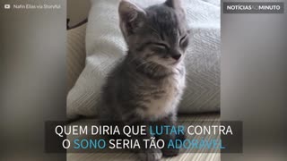 A luta contra o sono mais fofa de todas!