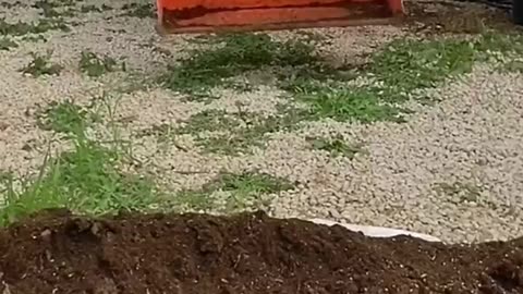 $10 Grain Bag / Tote Raised Bed Garden