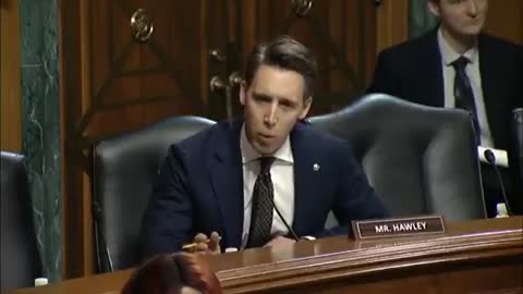 Josh Hawley WRECKS the FBI Over Targeting Parents