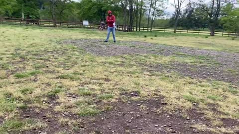 German Shepherd Attacks Pitbull At The Dog Park