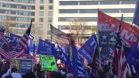 March for Trump in Washington D.C.