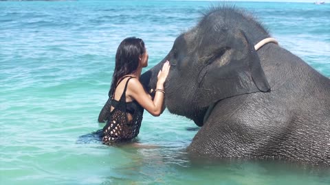 Girl with the elephant in the ocean