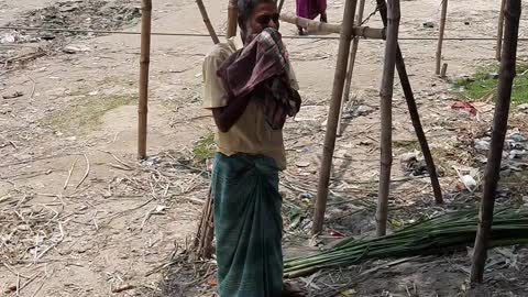 Village Sugarcane Seller