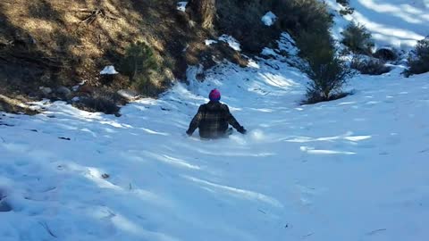 Sledding into a tree stump!