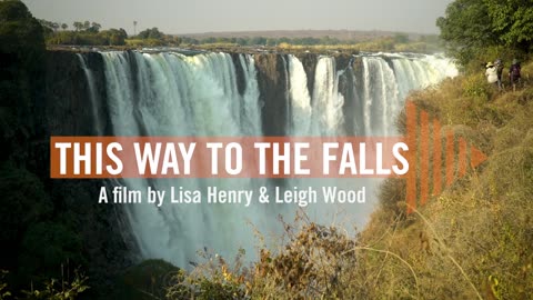 THIS WAY TO THE FALLS - Dr Shankara Chetty