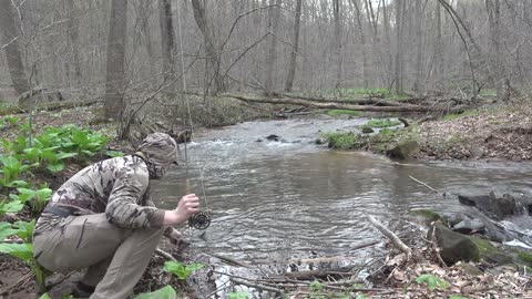 PA Wild Trout - SMALL STREAM FISHING