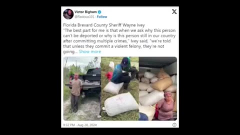 Florida sheriff blasts feds over illegal alien theft bust Drives me absolutely insane