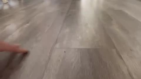 DIY Flooring Disaster