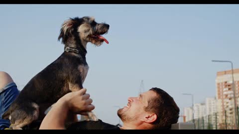 Happy man lying on bench stroking playful dog outdoor