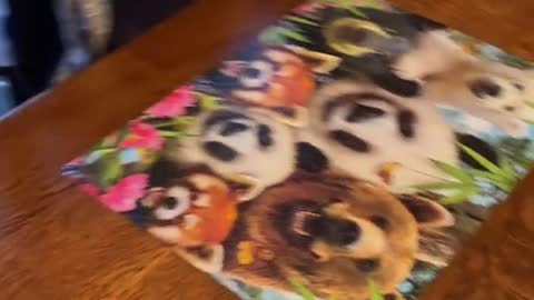 Son Sends Mom's Puzzle to Pieces