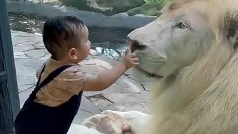 Baby with kids playing lion with funny also god