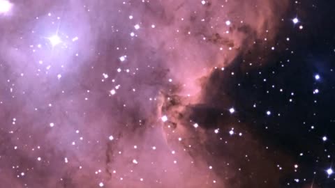 Evaporating Peaks: Pillars in the Monkey Head Nebula