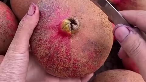 Most amazing ripe fruit | shorts | food