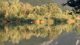 Parc des Grangettes 3