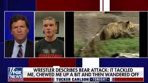 Wrestler Injured Saving Teammate From Bear Attack