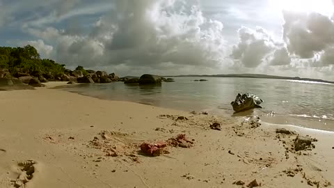 GOPRO gets the BITE from SALT WATER CROCODILE