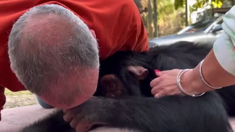 animal meet his owner after long time and get emotional