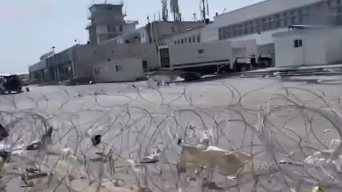 Exclusive Video: US Contract Working Dogs Abandoned in Kabul Seen Roaming the Airport