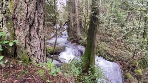 Relax with Beautiful Raging river in Mission British Columbia Canada