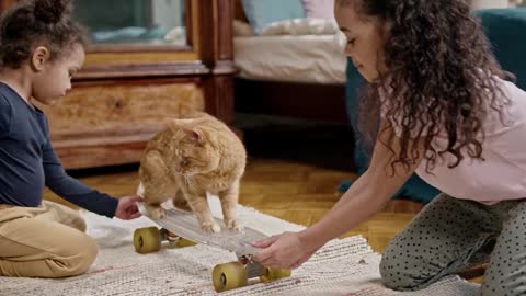 Kids Playing With A Cute Cat