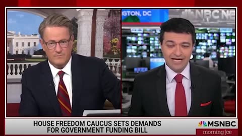 MSNBC Guest Accidentally Lets It Slip That Illegals Are Voting-1