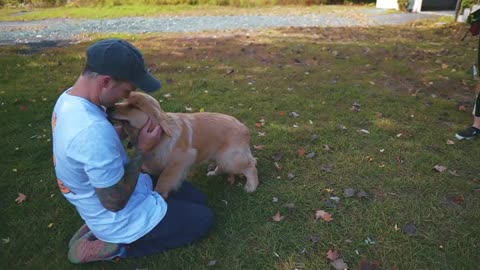 Pitbull introduced to a puppy!