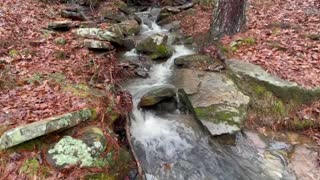 High Falls Park - Grove Oak, Alabama