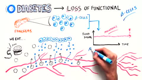 Engineering New Treatments For Diabetes