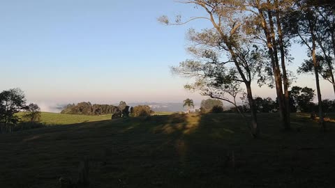 Nova Roma do Sul - RS - Brasil