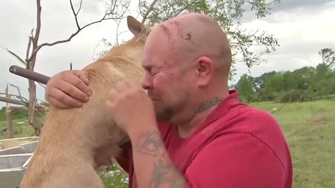 Animals Reunited With Owner After Years 2 emosonal video