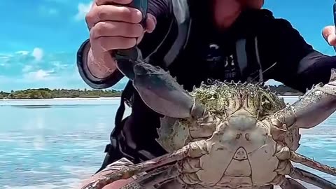 mistake that was close to the fisherman's hand.😱😬