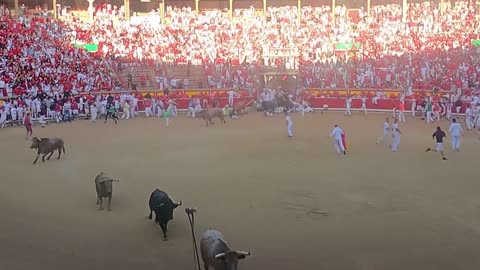 Bull run returns in Spain's Pamplona.