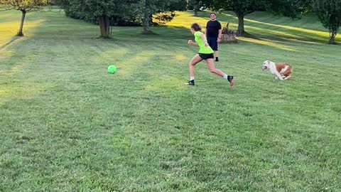 Playing Pup Gets Caught in Net