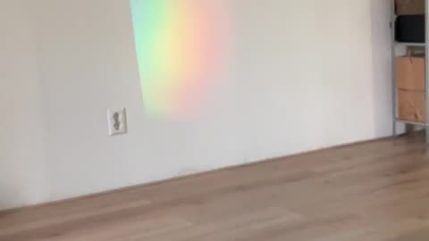 A magical rainbow in my house