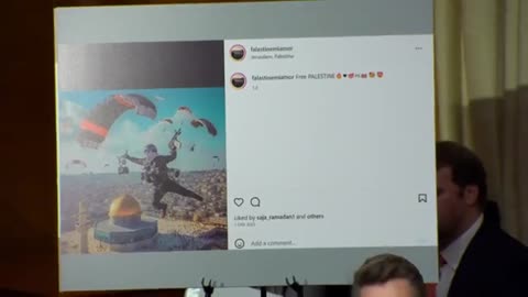 DHS Employee Was Posting Pro-Palestine Paratrooper Images the day of the Attack