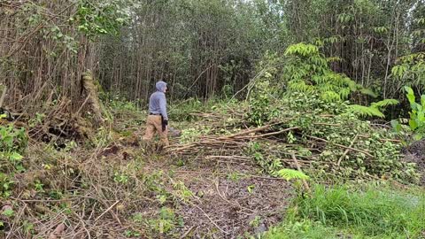 Homestead Expansion - Land Clearing By Hand