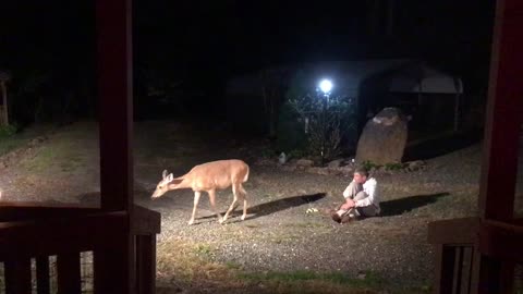 Steve was recording Lady’s midnight visit from inside NW NC High Country God’s country ❤️✝️🇺🇸