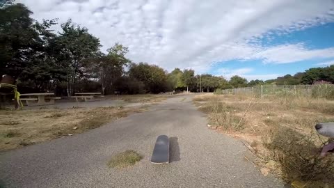 Using A Skateboard To Exercise My Siberian Husky | Yocaher Chimp Skateboard Review