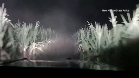 Wild Police Chase Through Cornfield Caught On Dashcam