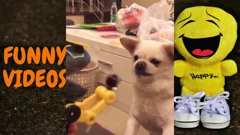 CUTE AND FUNNY ANIMALS COMPILATIONS 2021