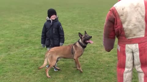 Personal family protests dog training, basic obedience