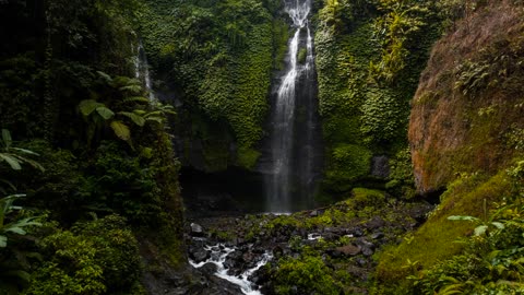 Jungle: Rainforest Sounds for Meditation, Good Sleep and Relaxation