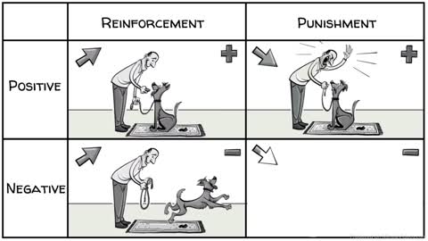 Skinner’s Operant Conditioning Rewards & Punishments