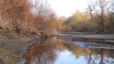 4K Relaxing River - Ultra HD Nature Video - Water Stream & Birdsong Sounds - Sleep