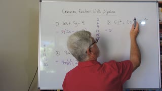 Math Factor Set A 04 Common Factors More Cases