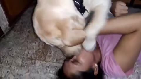 Dog lovers kiss❤️ beautiful young girl kissing dog