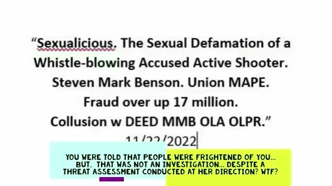 Episode 13. The Sexual Defamation of a Minnesota Whistleblowing Active Shooter. State agency lawyers, assistant attorneys general and union MAPE lawyers collude to cover up pandemic era fraud.