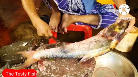 Amazing Huge Rohu Fish Cutting In BD