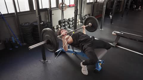 Barbell Bench Press Exercise Tutorial