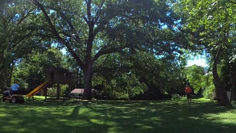 Demise of the Red Bud